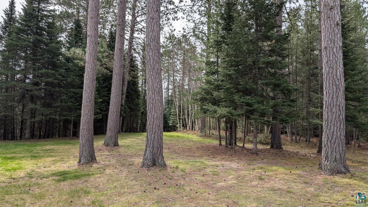 8854 River Road Angora, MN 55703 - Photo 32 of 43