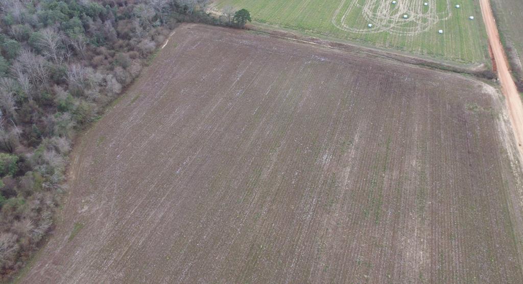 Lot 4 J B Jackson Road Ashford, AL 36312 - Photo 1 of 3