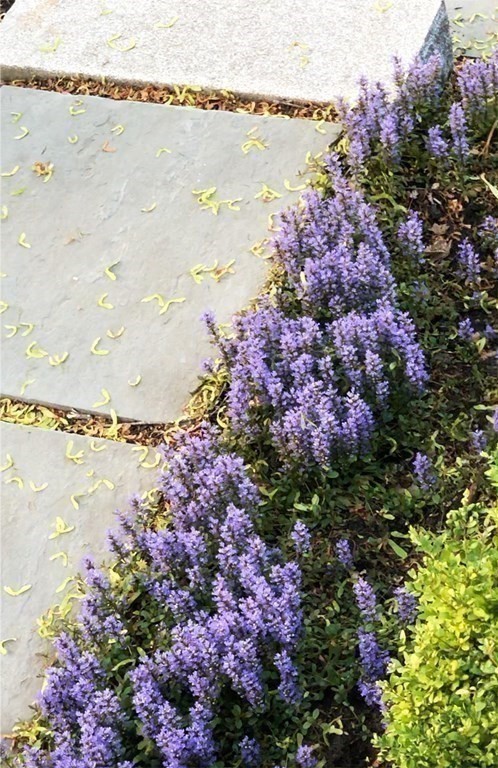 24 Jordan Road Brookline, MA 02446 - Photo 27 of 27 a view of a lake