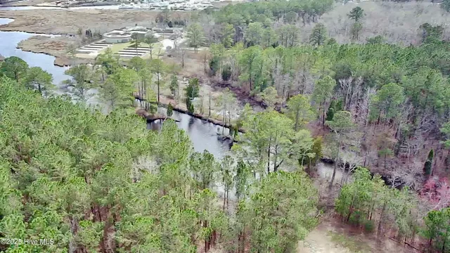 $50,000 | 0 Pamlico Street, Belhaven, NC 27810