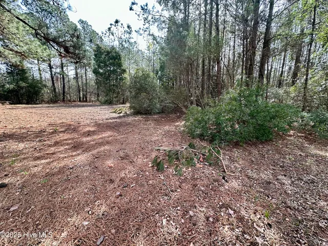 $50,000 | 0 Pamlico Street, Belhaven, NC 27810