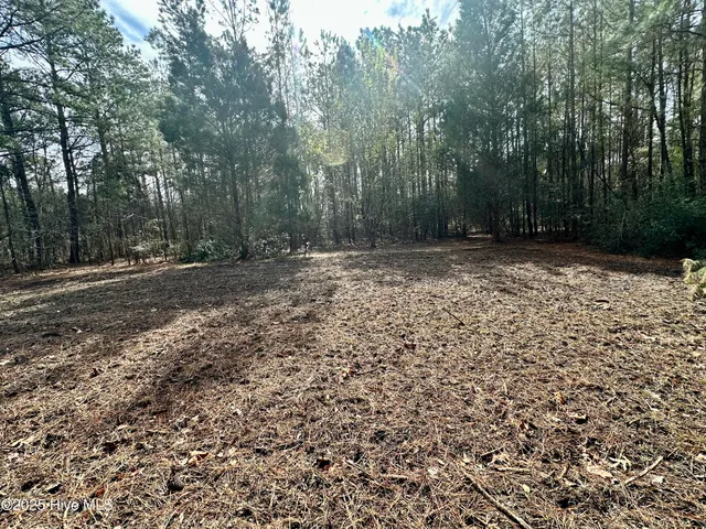 $50,000 | 0 Pamlico Street, Belhaven, NC 27810