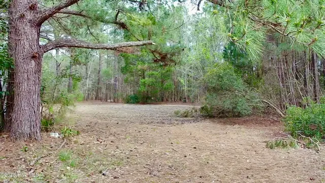 $50,000 | 0 Pamlico Street, Belhaven, NC 27810