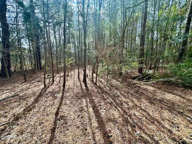 $50,000 | 0 Pamlico Street, Belhaven, NC 27810