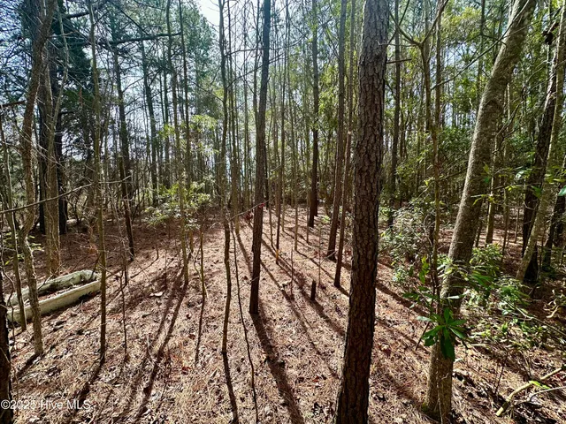 $50,000 | 0 Pamlico Street, Belhaven, NC 27810