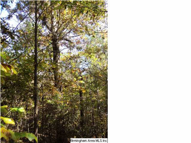 Blakes Ferry Road, Unit 77 Lineville, AL 36266 - Photo 7 of 18 Gallery Image 7