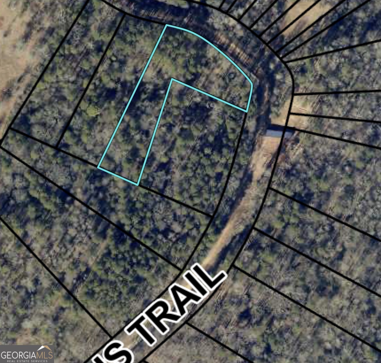 0 Morris Trail Carnesville, GA 30521 - Photo 1 of 2