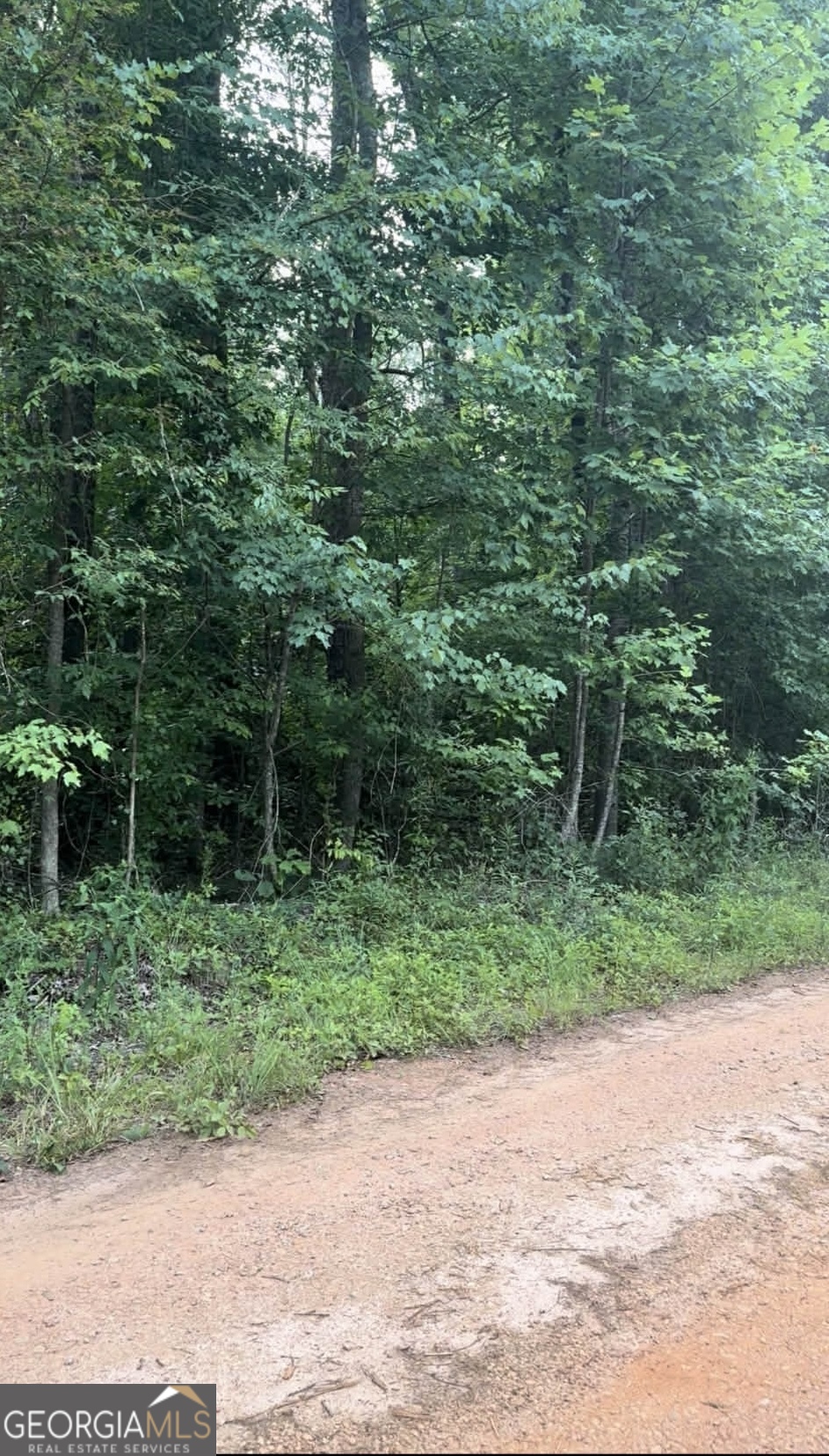 0 Morris Trail Carnesville, GA 30521 - Photo 2 of 2