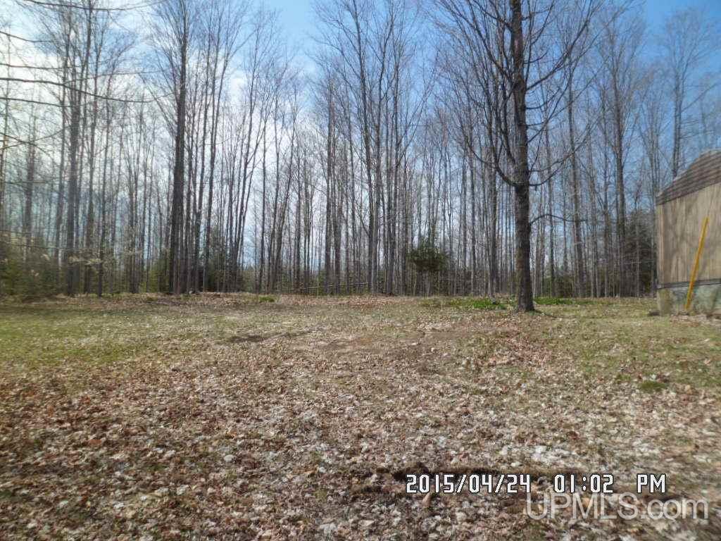 15627 North Co Road Wilson, MI 49896 - Photo 22 of 22