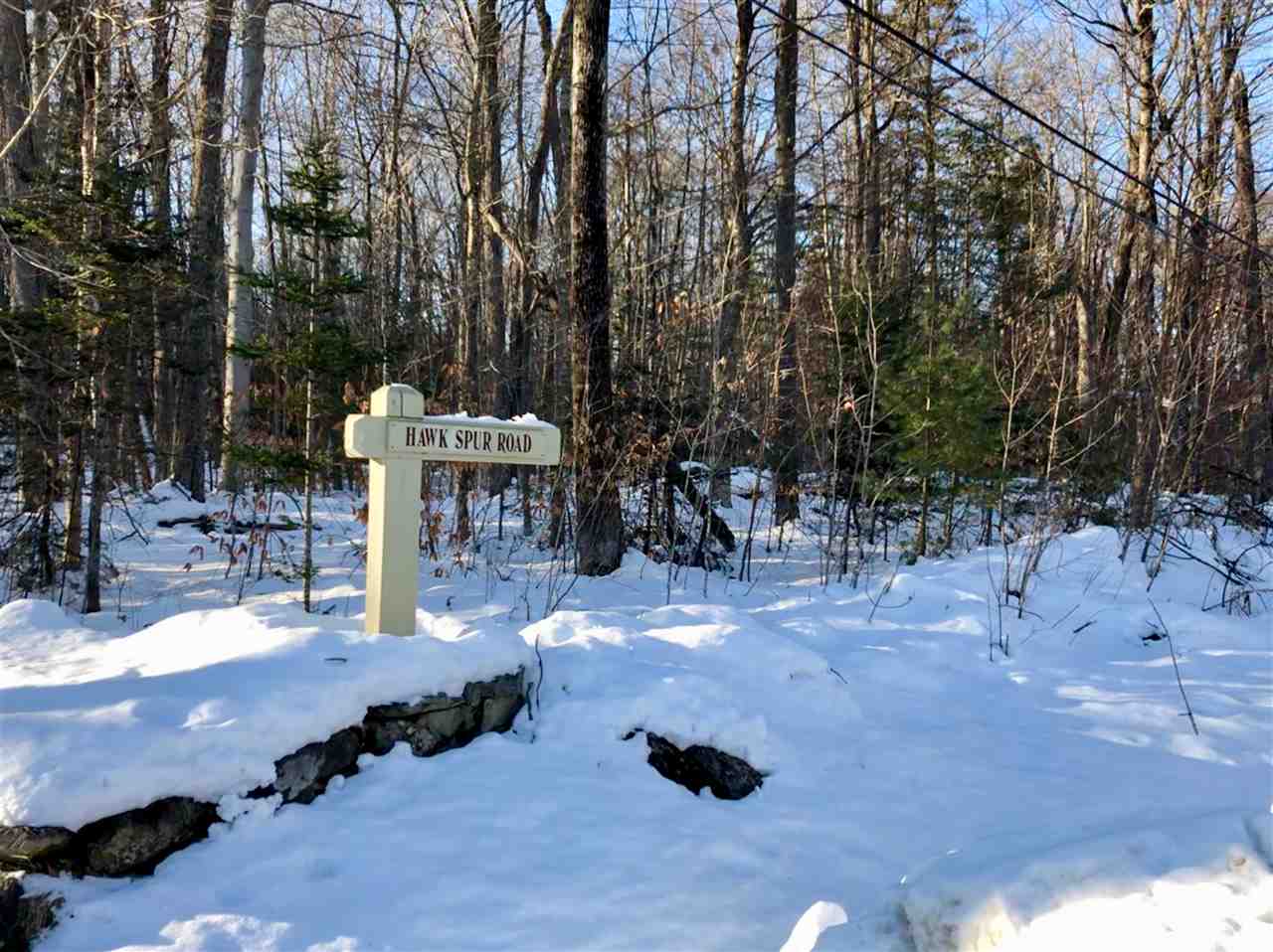 1-1 Crown Point Road, Unit LOT 1 Plymouth, VT 05056 - Photo 1 of 15