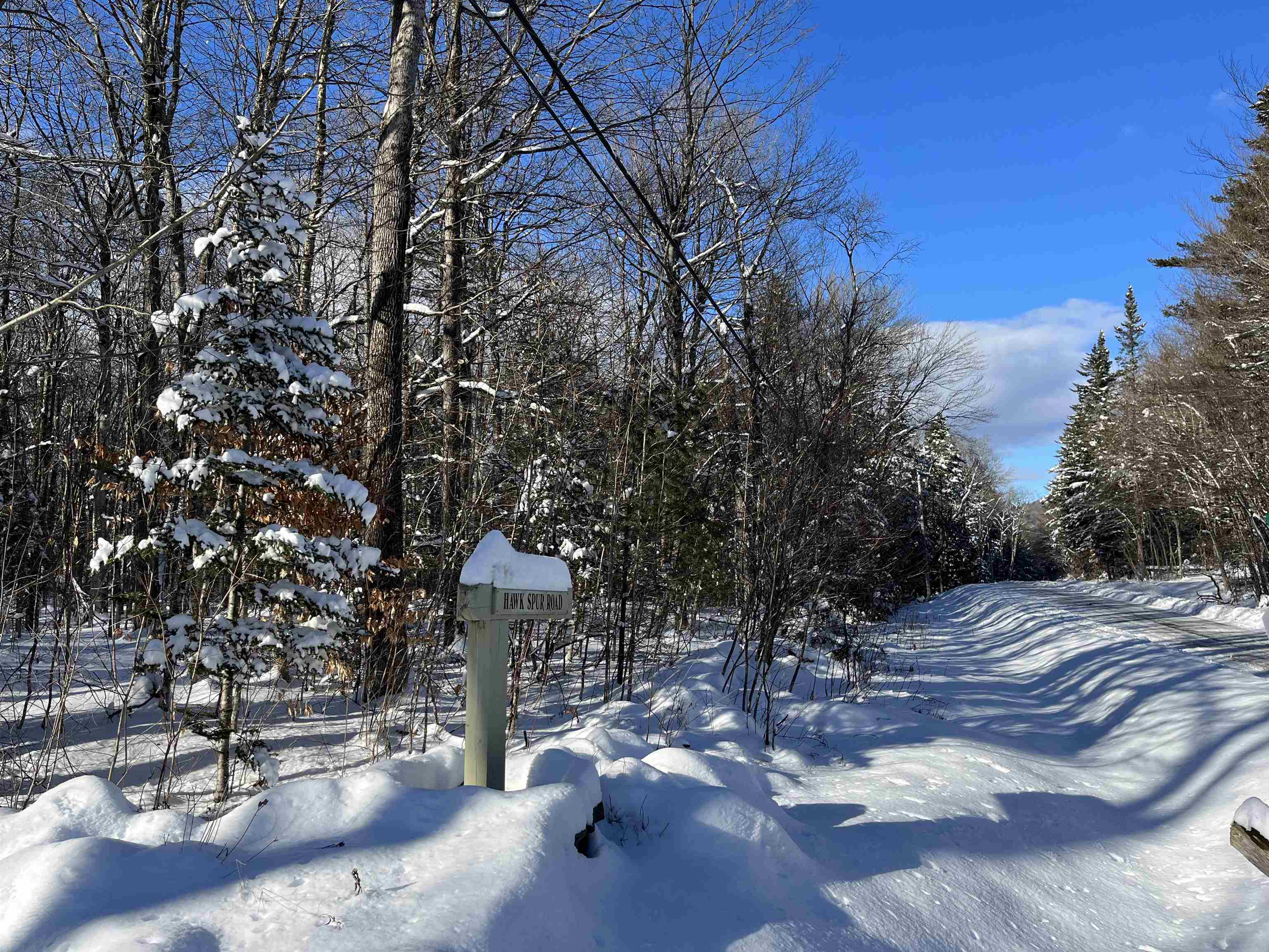 1-1 Crown Point Road, Unit LOT 1 Plymouth, VT 05056 - Photo 11 of 15