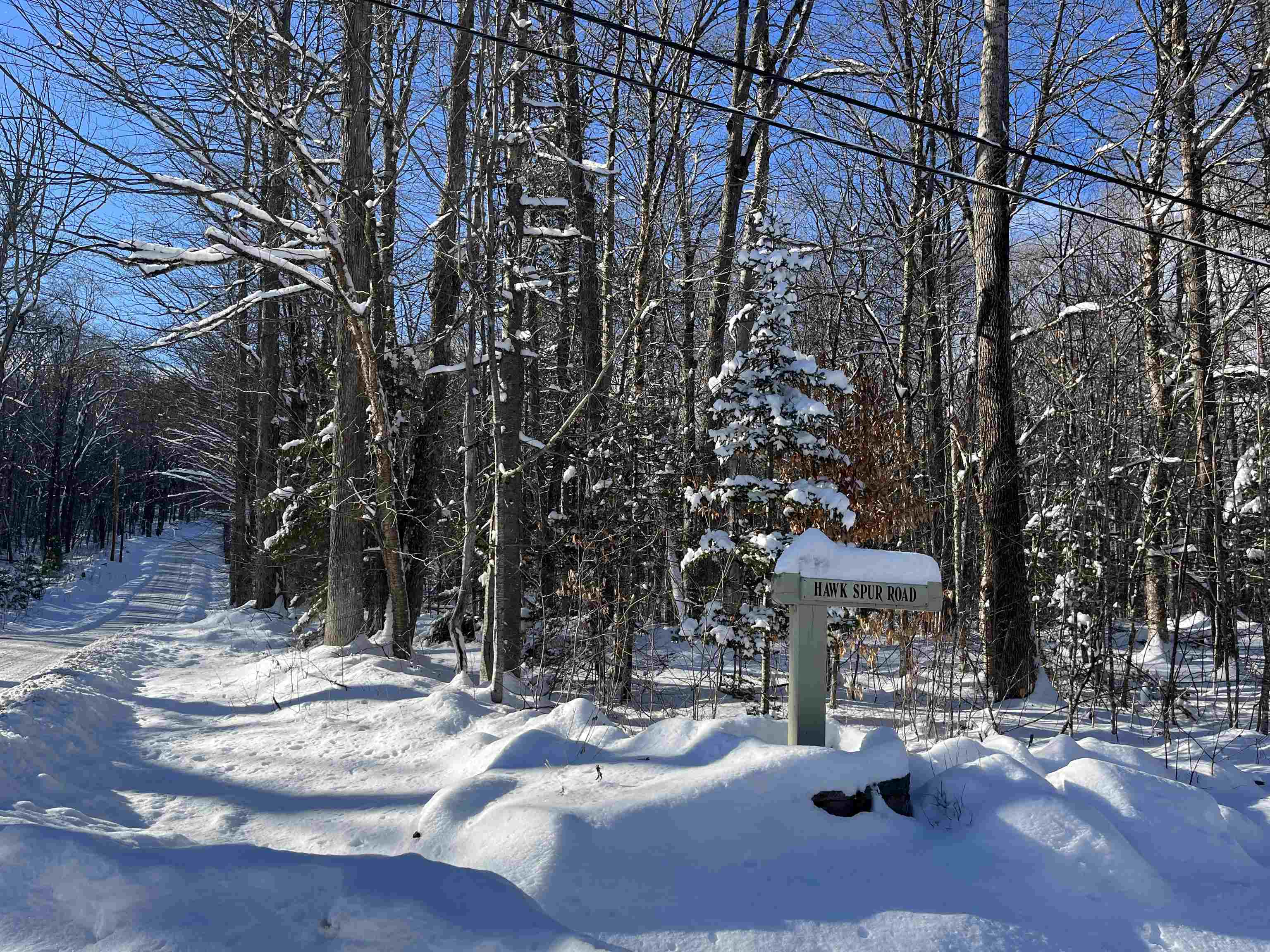 1-1 Crown Point Road, Unit LOT 1 Plymouth, VT 05056 - Photo 12 of 15