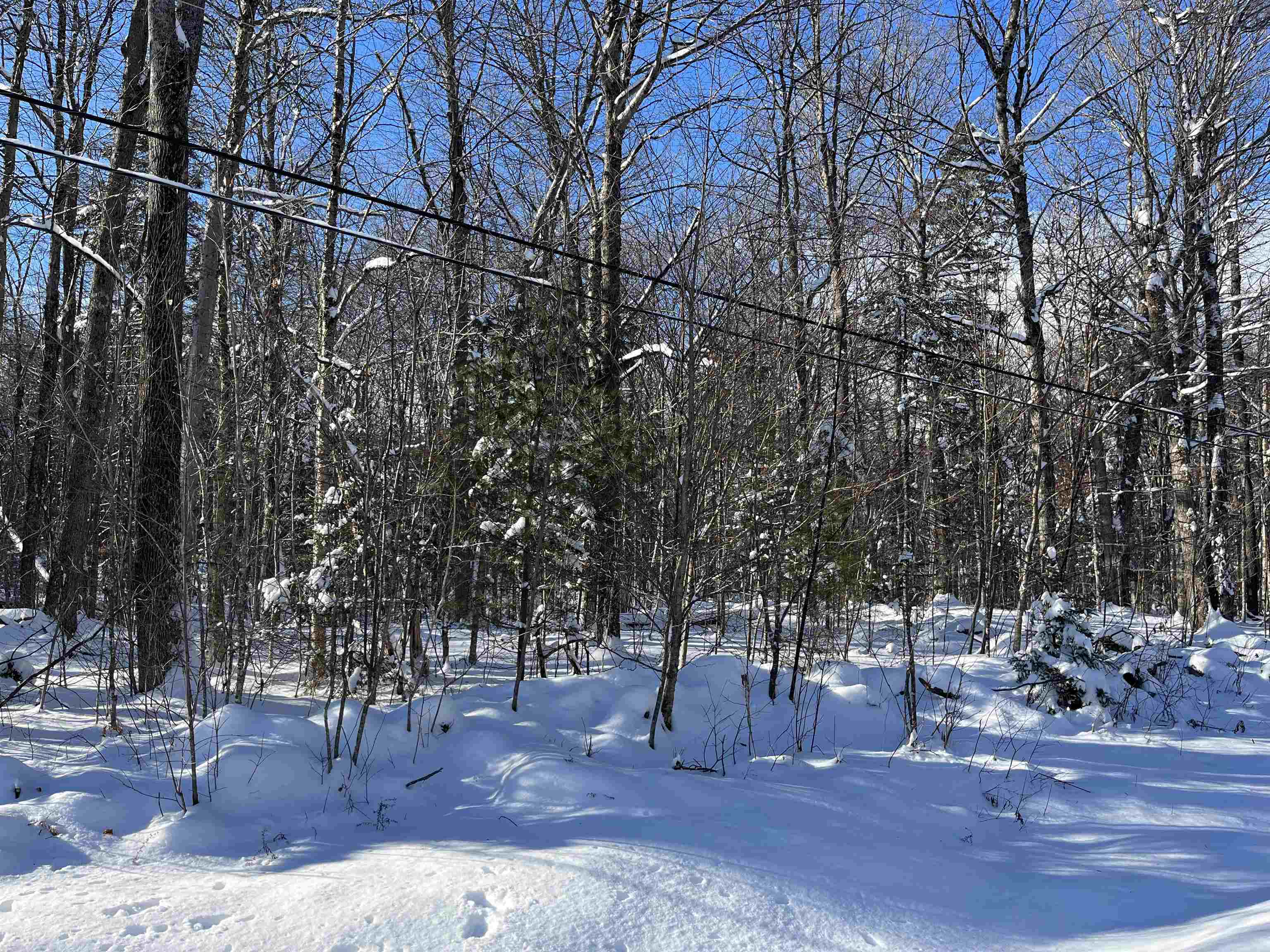 1-1 Crown Point Road, Unit LOT 1 Plymouth, VT 05056 - Photo 13 of 15