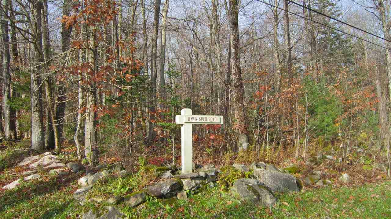 1-1 Crown Point Road, Unit LOT 1 Plymouth, VT 05056 - Photo 14 of 15