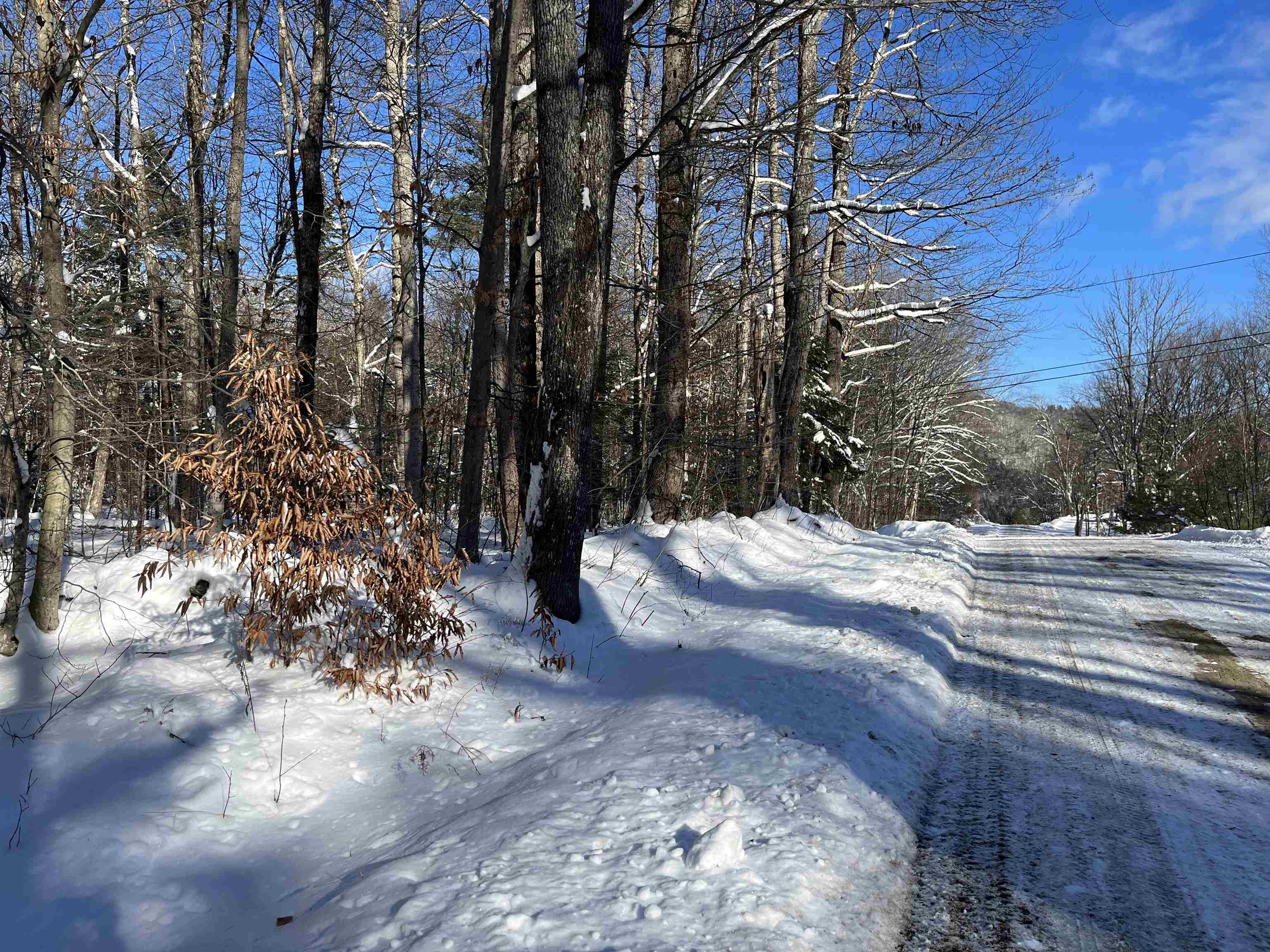 1-1 Crown Point Road, Unit LOT 1 Plymouth, VT 05056 - Photo 2 of 15