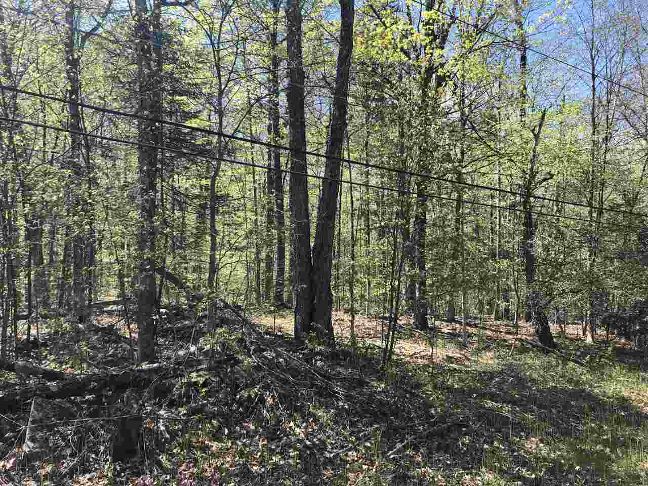 1-1 Crown Point Road, Unit LOT 1 Plymouth, VT 05056 - Photo 3 of 15