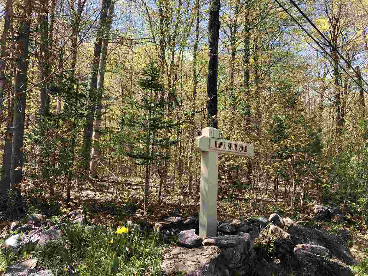 1-1 Crown Point Road, Unit LOT 1 Plymouth, VT 05056 - Photo 4 of 15