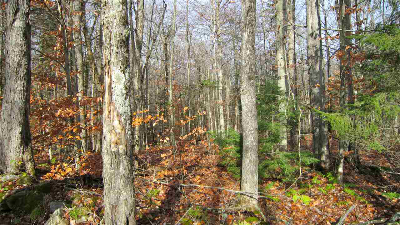 1-1 Crown Point Road, Unit LOT 1 Plymouth, VT 05056 - Photo 5 of 15