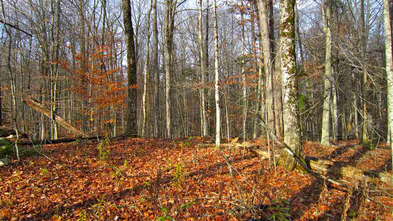 1-1 Crown Point Road, Unit LOT 1 Plymouth, VT 05056 - Photo 6 of 15