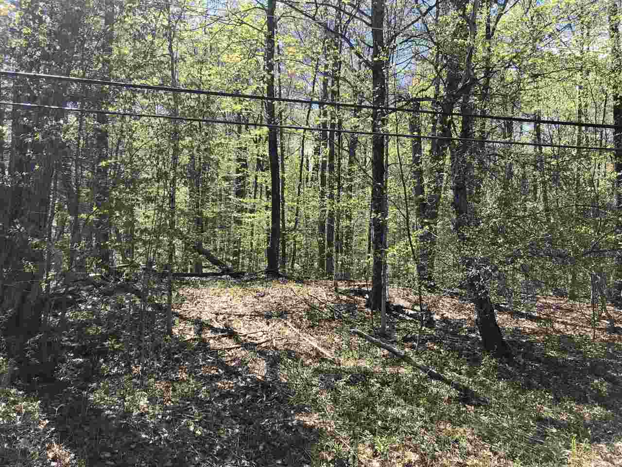 1-1 Crown Point Road, Unit LOT 1 Plymouth, VT 05056 - Photo 7 of 15