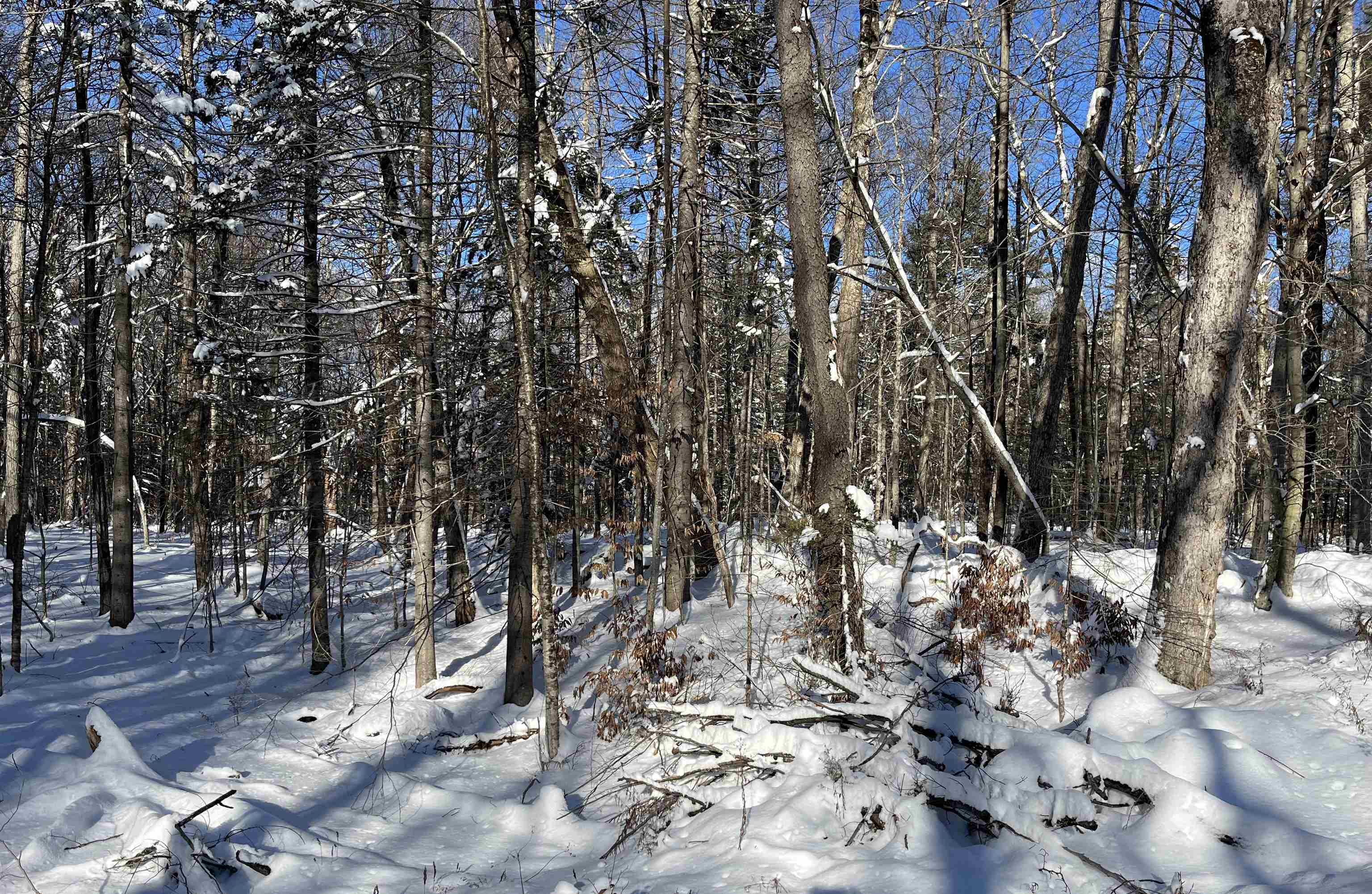 1-1 Crown Point Road, Unit LOT 1 Plymouth, VT 05056 - Photo 8 of 15