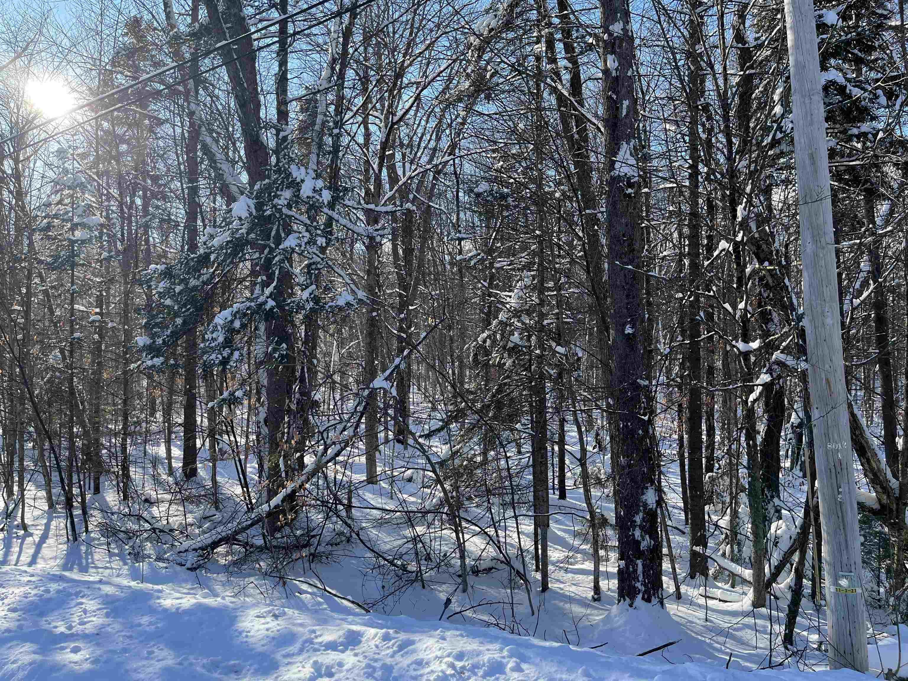 1-1 Crown Point Road, Unit LOT 1 Plymouth, VT 05056 - Photo 9 of 15