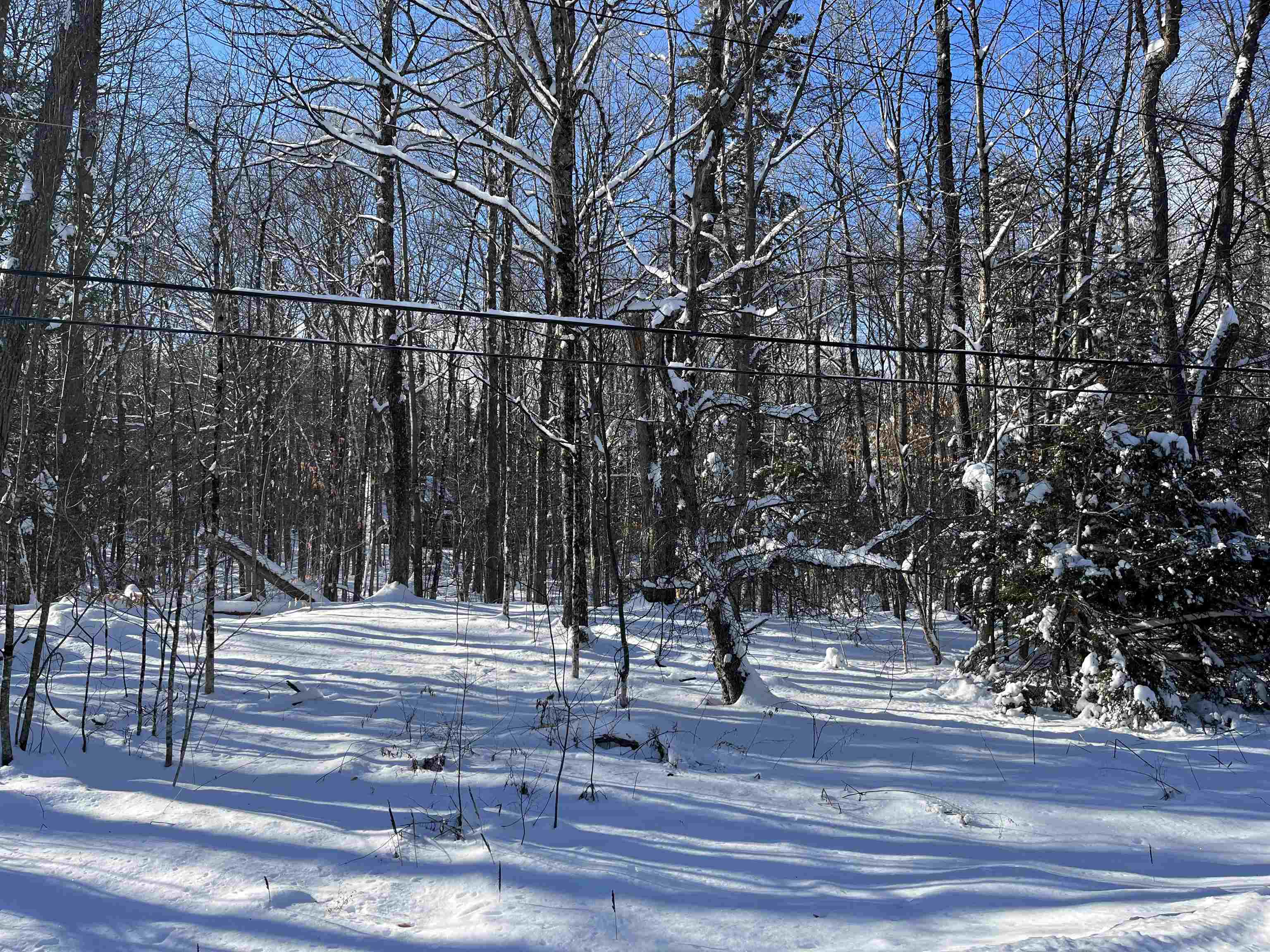 1-1 Crown Point Road, Unit LOT 1 Plymouth, VT 05056 - Photo 10 of 15