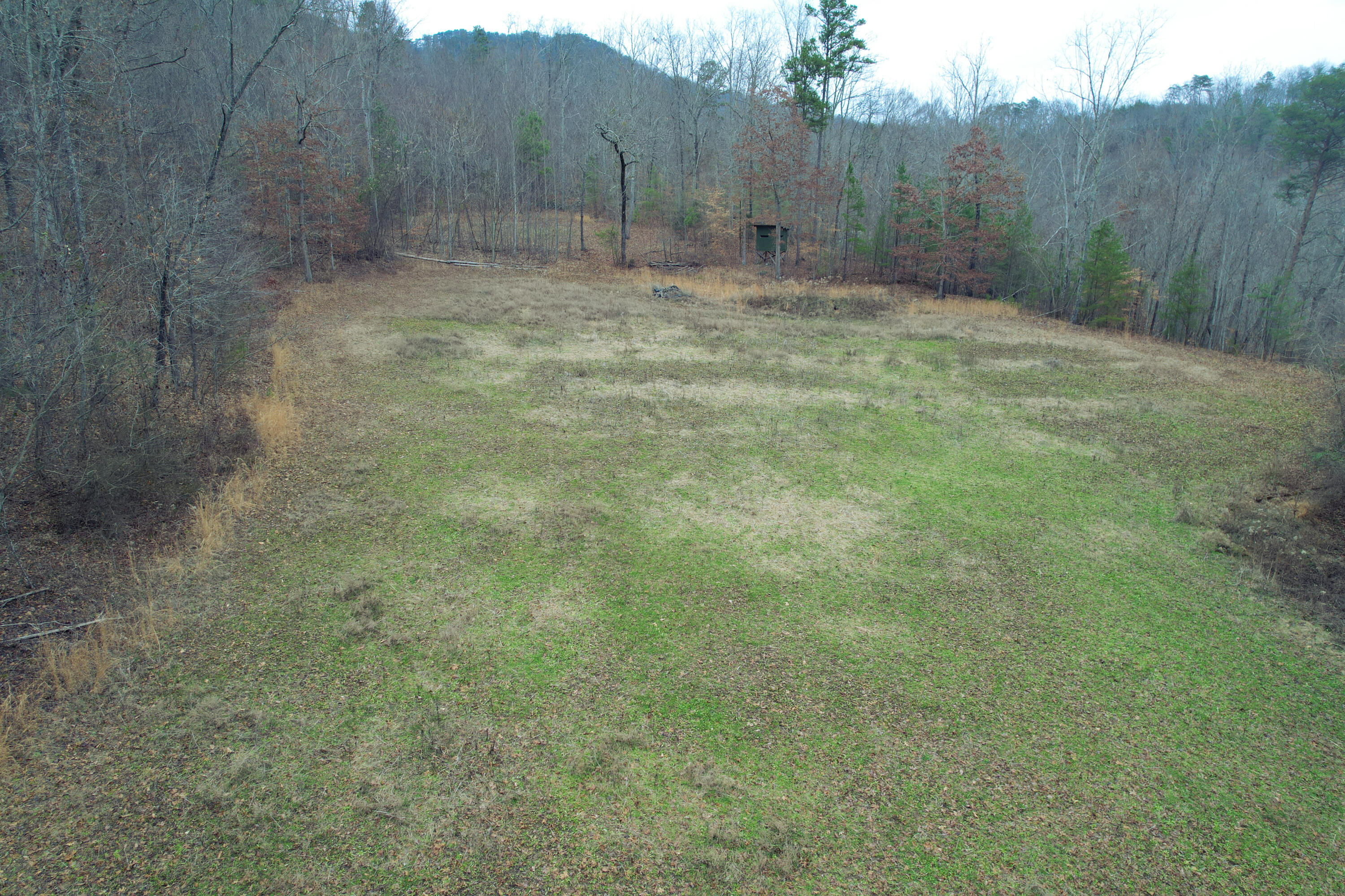 294 Mansfield Springs Road Dunlap, TN 37327 - Photo 11 of 45 13-DJI_0110