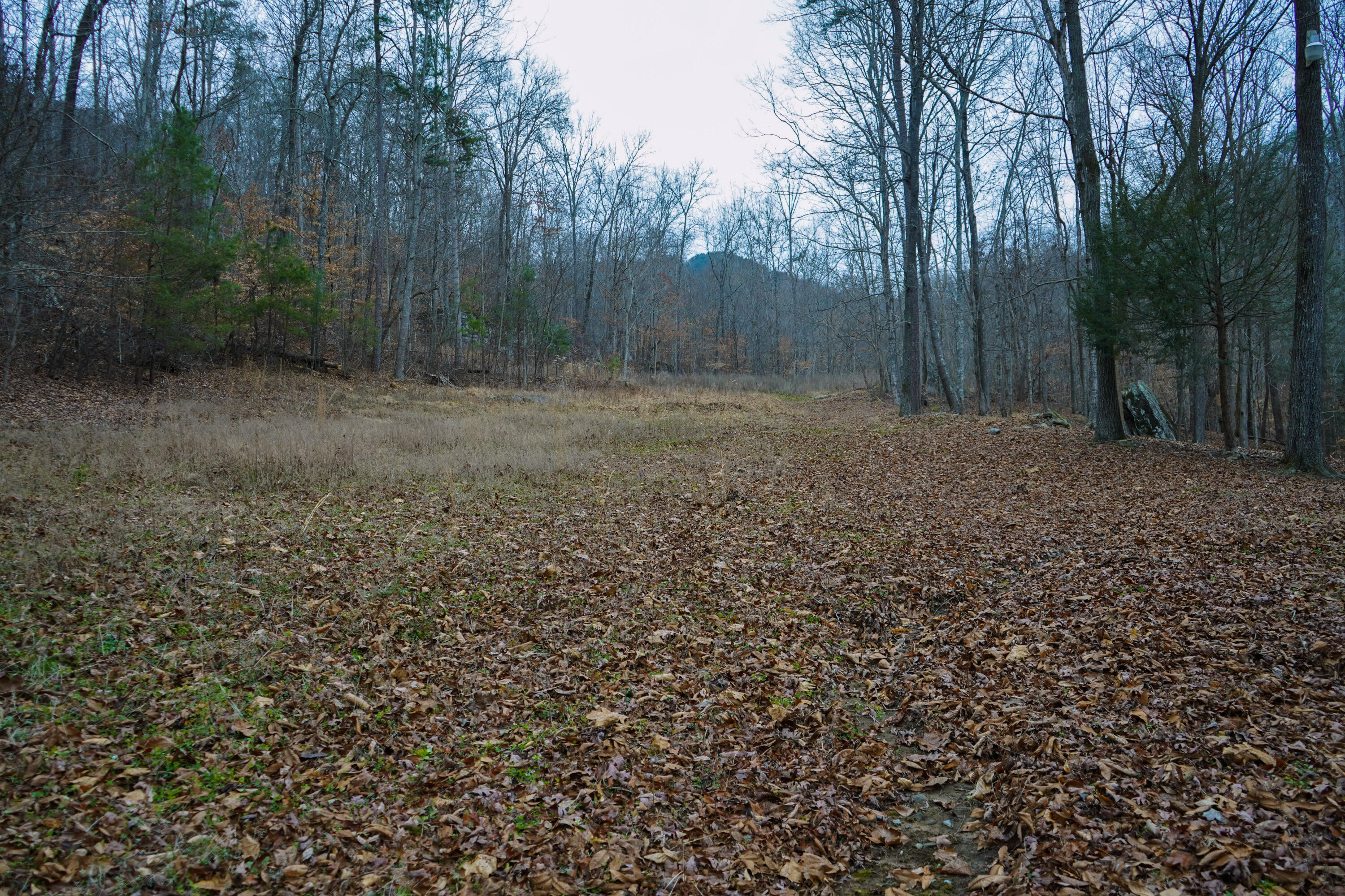 294 Mansfield Springs Road Dunlap, TN 37327 - Photo 13 of 45 50-DSC00314