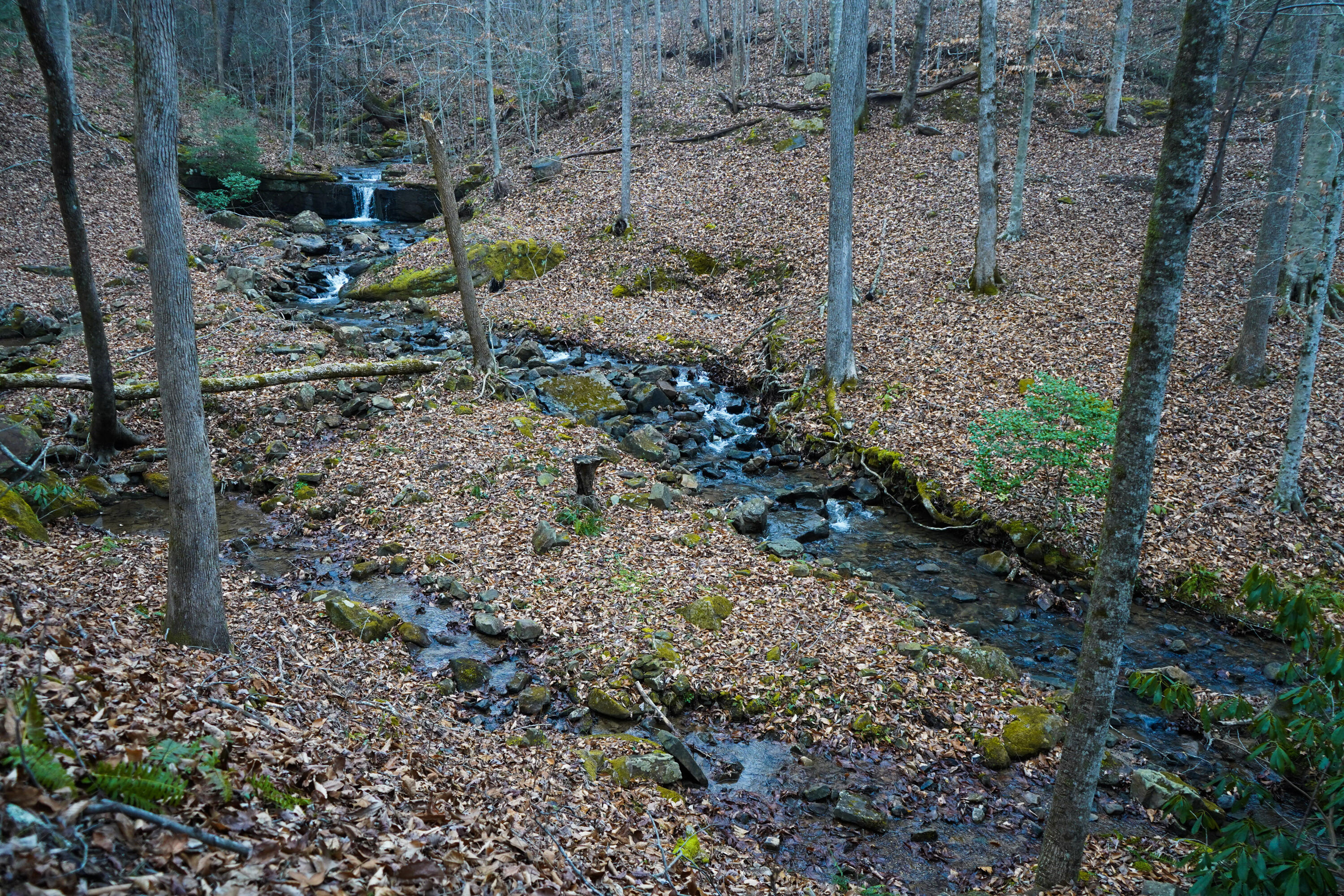 294 Mansfield Springs Road Dunlap, TN 37327 - Photo 14 of 45 49-DSC00304
