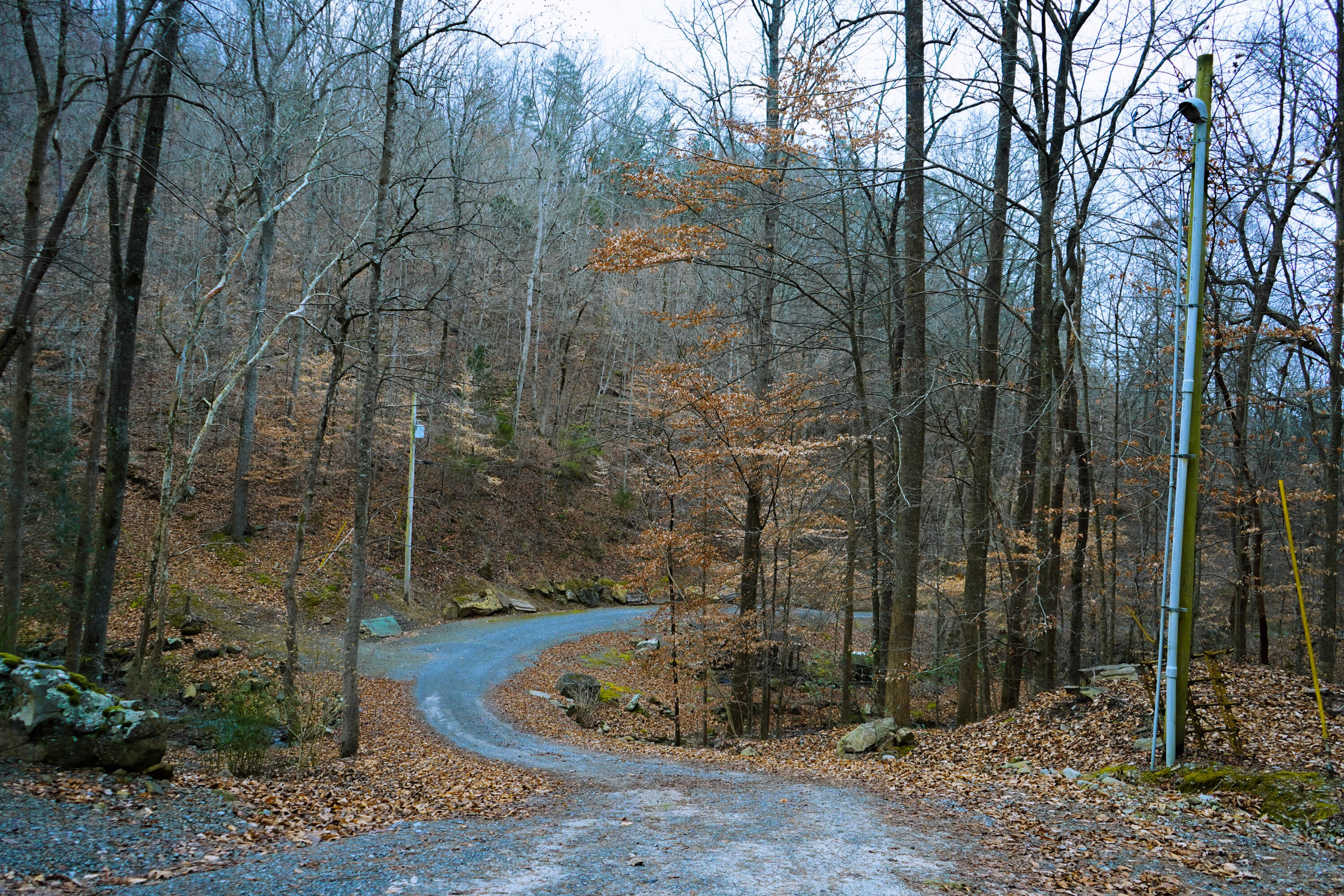 294 Mansfield Springs Road Dunlap, TN 37327 - Photo 15 of 45 51-DSC00324