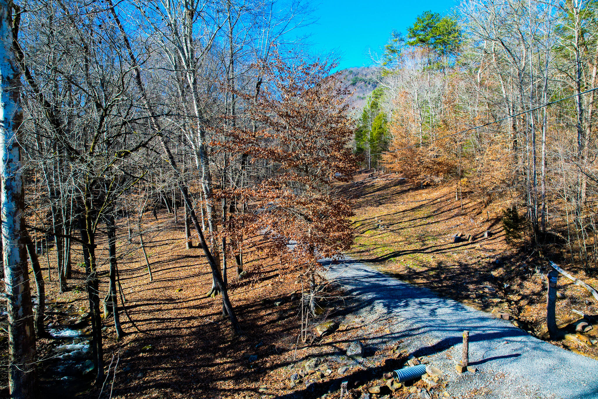 294 Mansfield Springs Road Dunlap, TN 37327 - Photo 5 of 45 listing pic 6