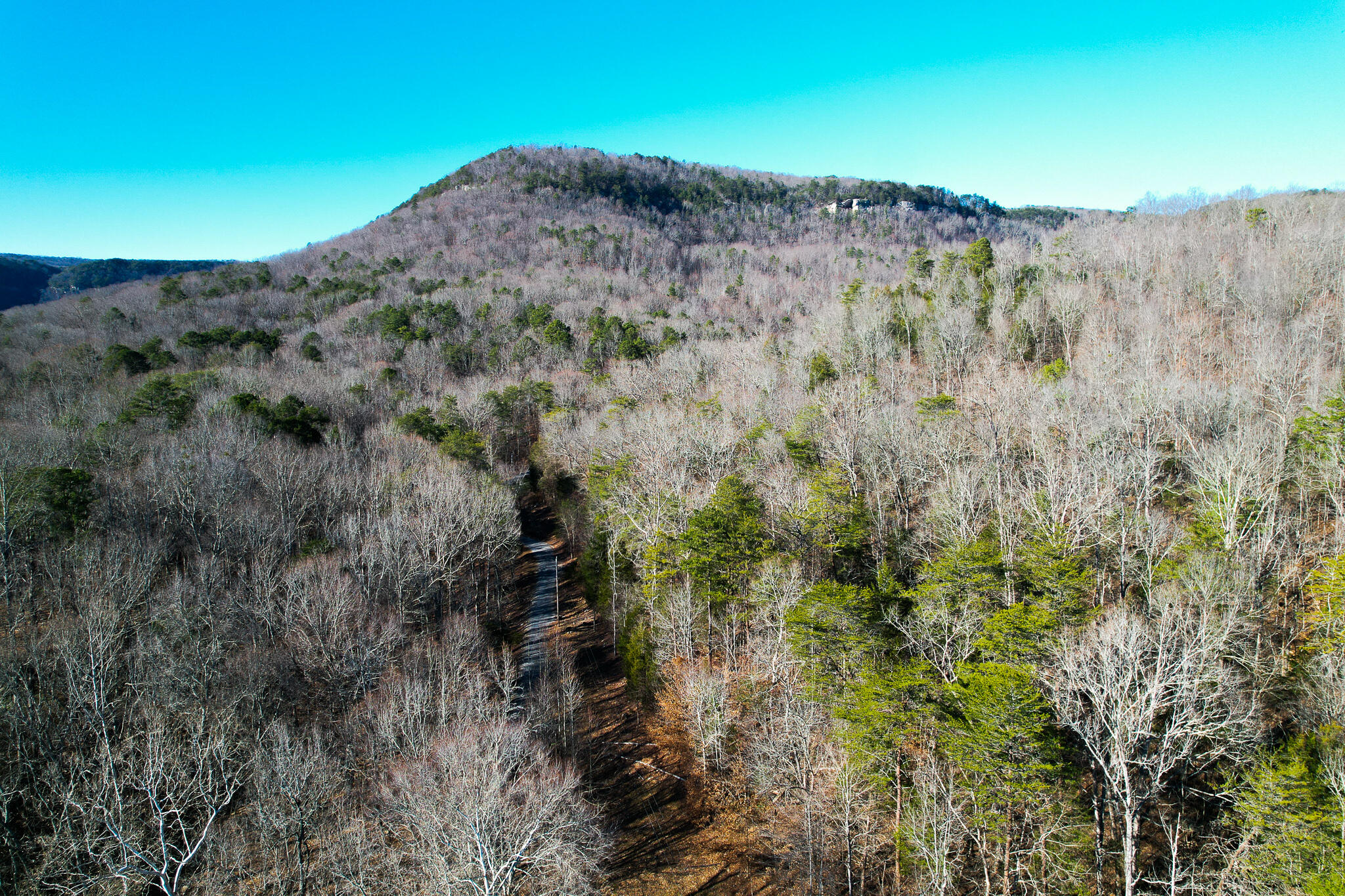 294 Mansfield Springs Road Dunlap, TN 37327 - Photo 6 of 45 listing pic 4