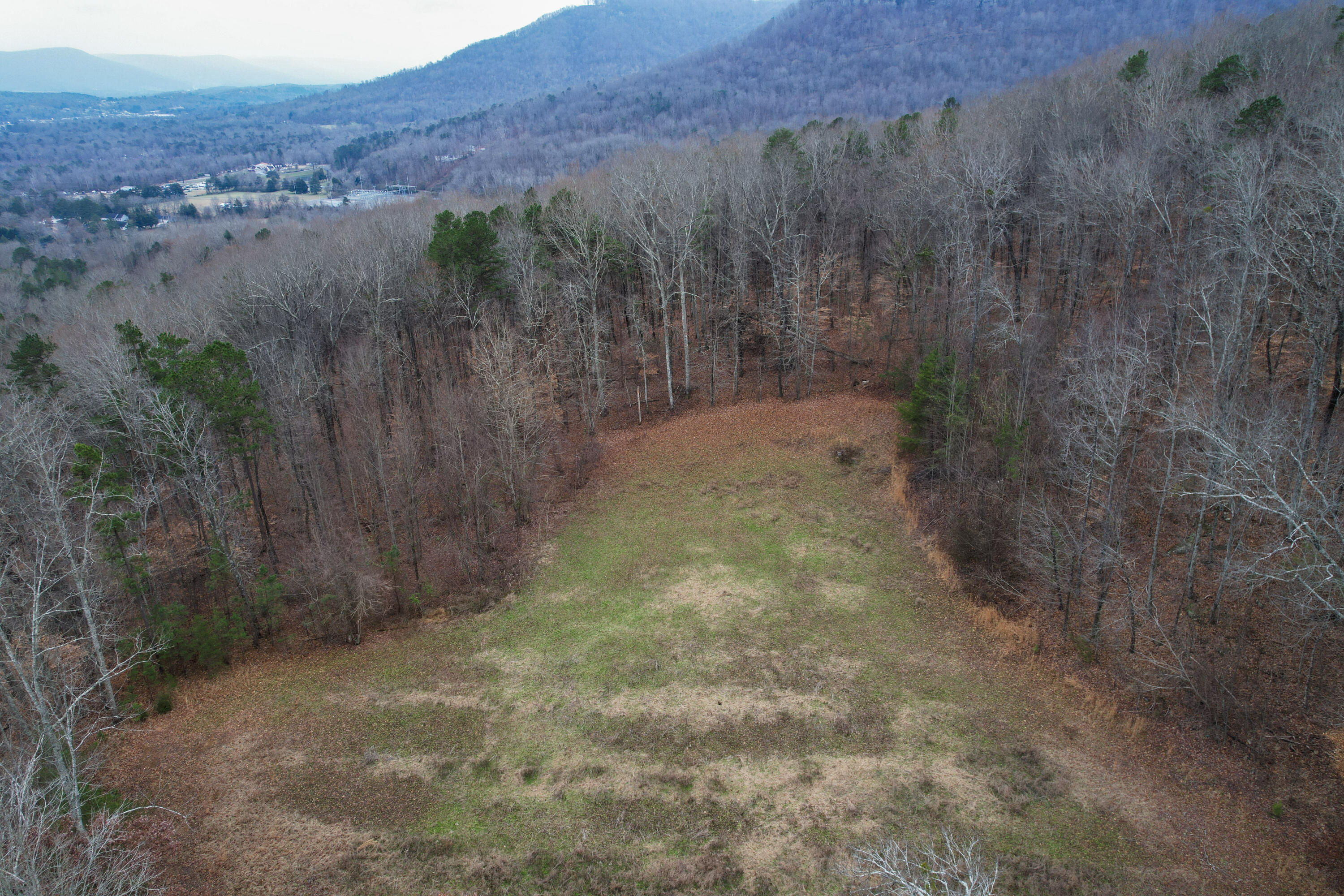 294 Mansfield Springs Road Dunlap, TN 37327 - Photo 7 of 45 9-DJI_0094