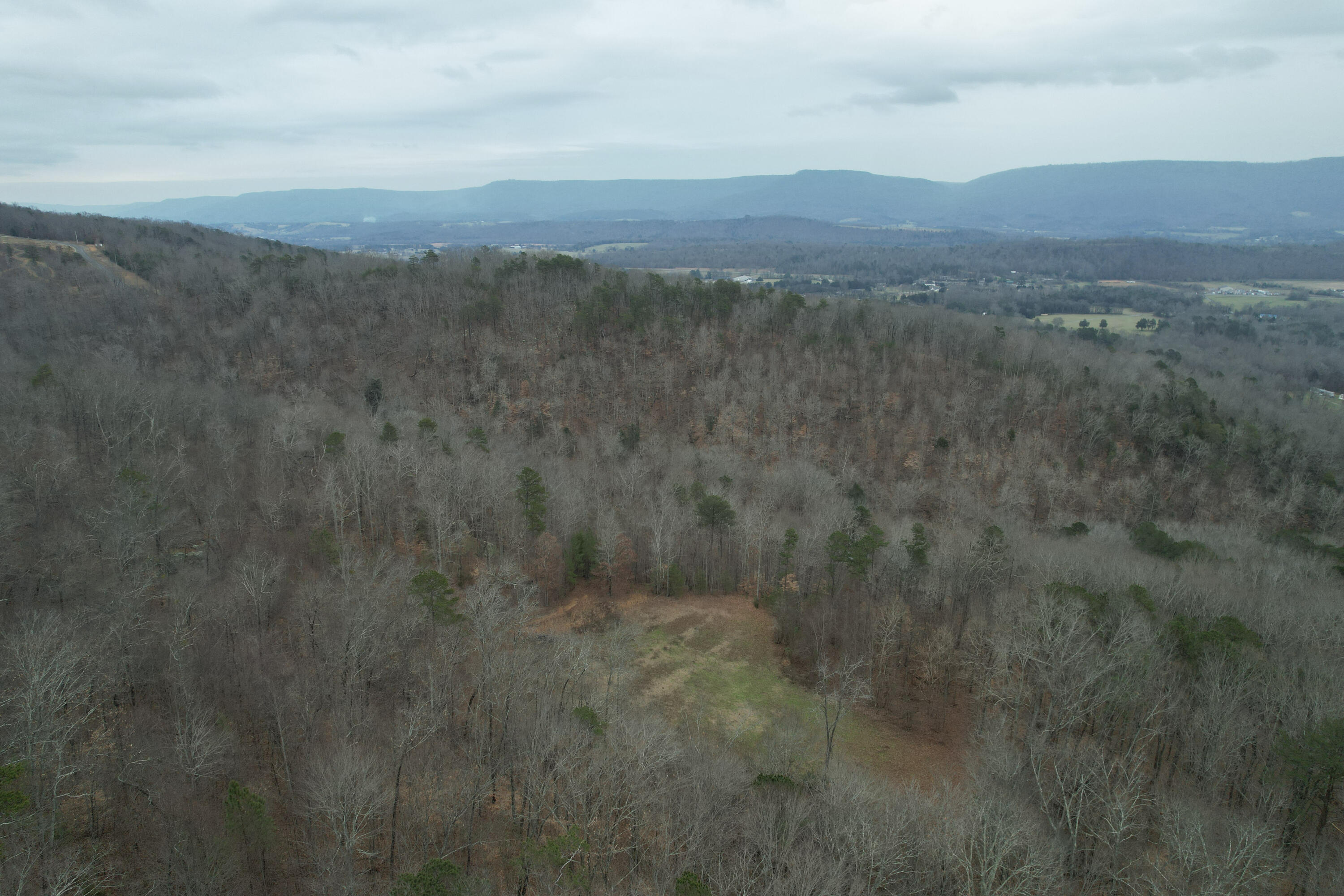 294 Mansfield Springs Road Dunlap, TN 37327 - Photo 8 of 45 11-DJI_0105