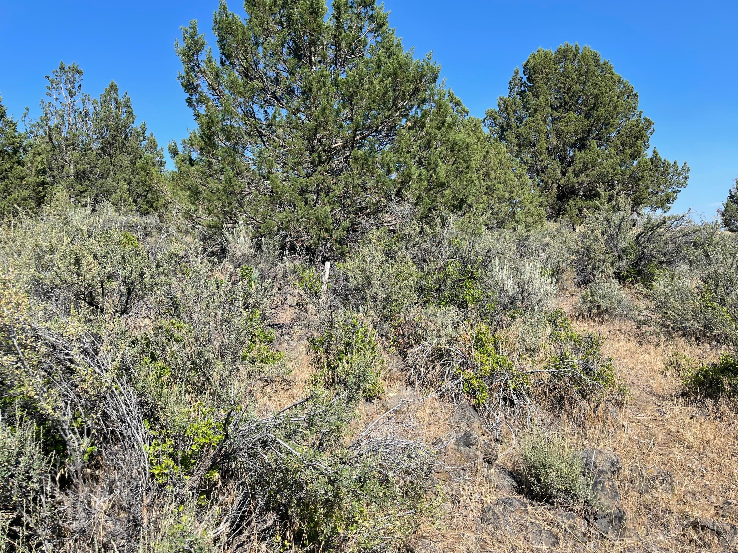 Harney Street Chiloquin, OR 97624 - Photo 3 of 10 IMG_4713
