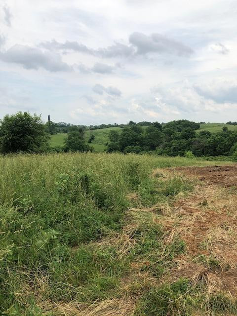 176 Ridgecrest Road Lancaster, KY 40444 - Photo 26 of 29 Distant views out the front.