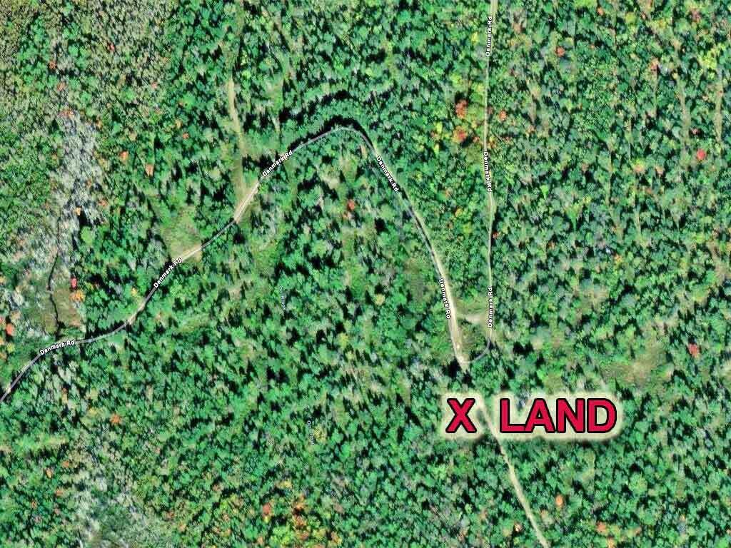 Lot 12 Denmark Road Wytopitlock, ME 04497 - Photo 4 of 11 me-wooded-land