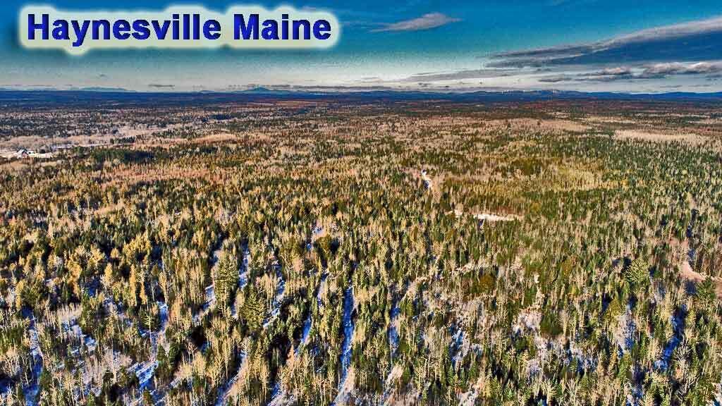 Lot 12 Denmark Road Wytopitlock, ME 04497 - Photo 8 of 11 haynesville-me-aroostook-co