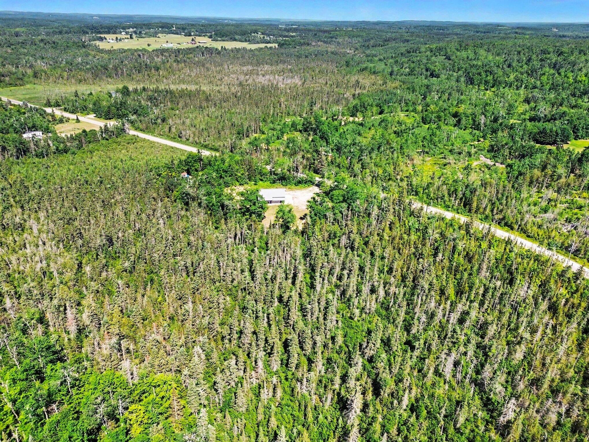 2771 Wurm Road Wolverine, MI 49799 - Photo 26 of 26