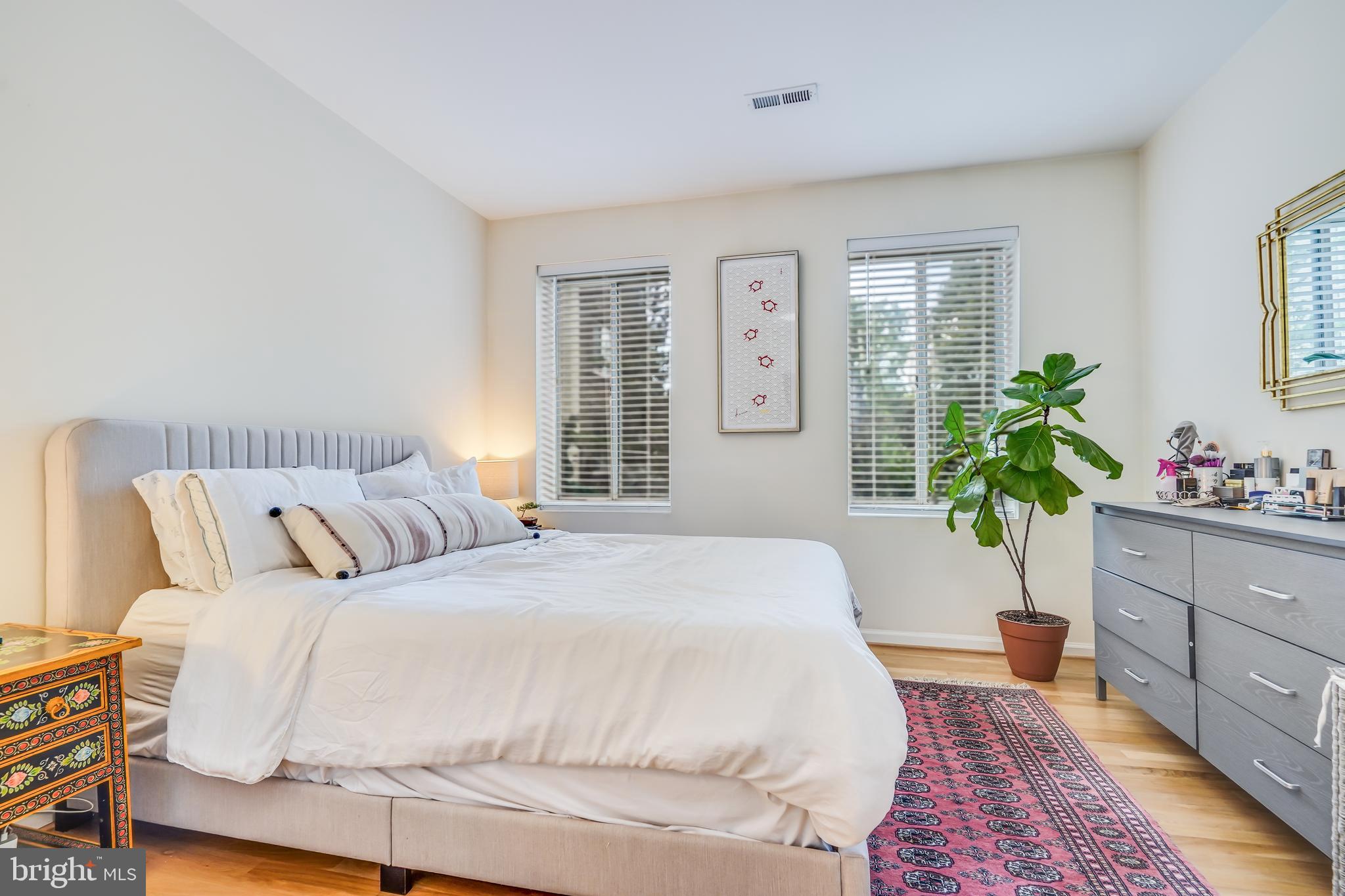 5405 9th Street Northwest, Unit 106 Washington, DC 20011 - Photo 15 of 21 a bedroom with a large bed and a potted plant
