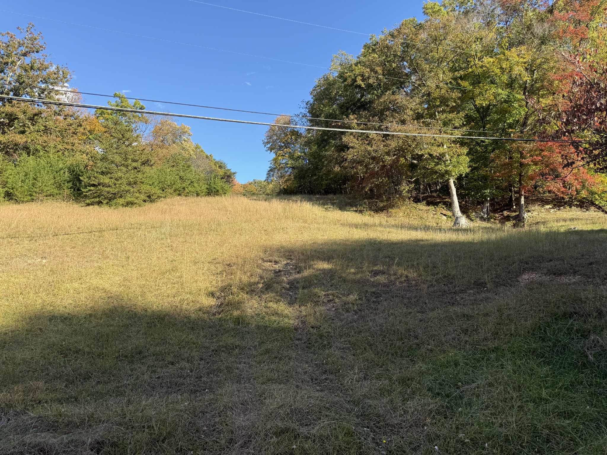 1100 West Price Branch Road Ashland, KY 41102 - Photo 10 of 16