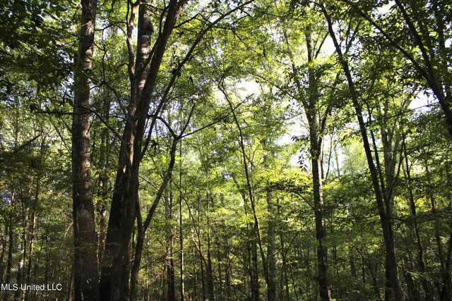 $125,235 | 524 Davis Crossing Road, Canton, MS 39046