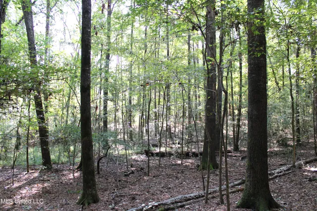 $125,235 | 524 Davis Crossing Road, Canton, MS 39046