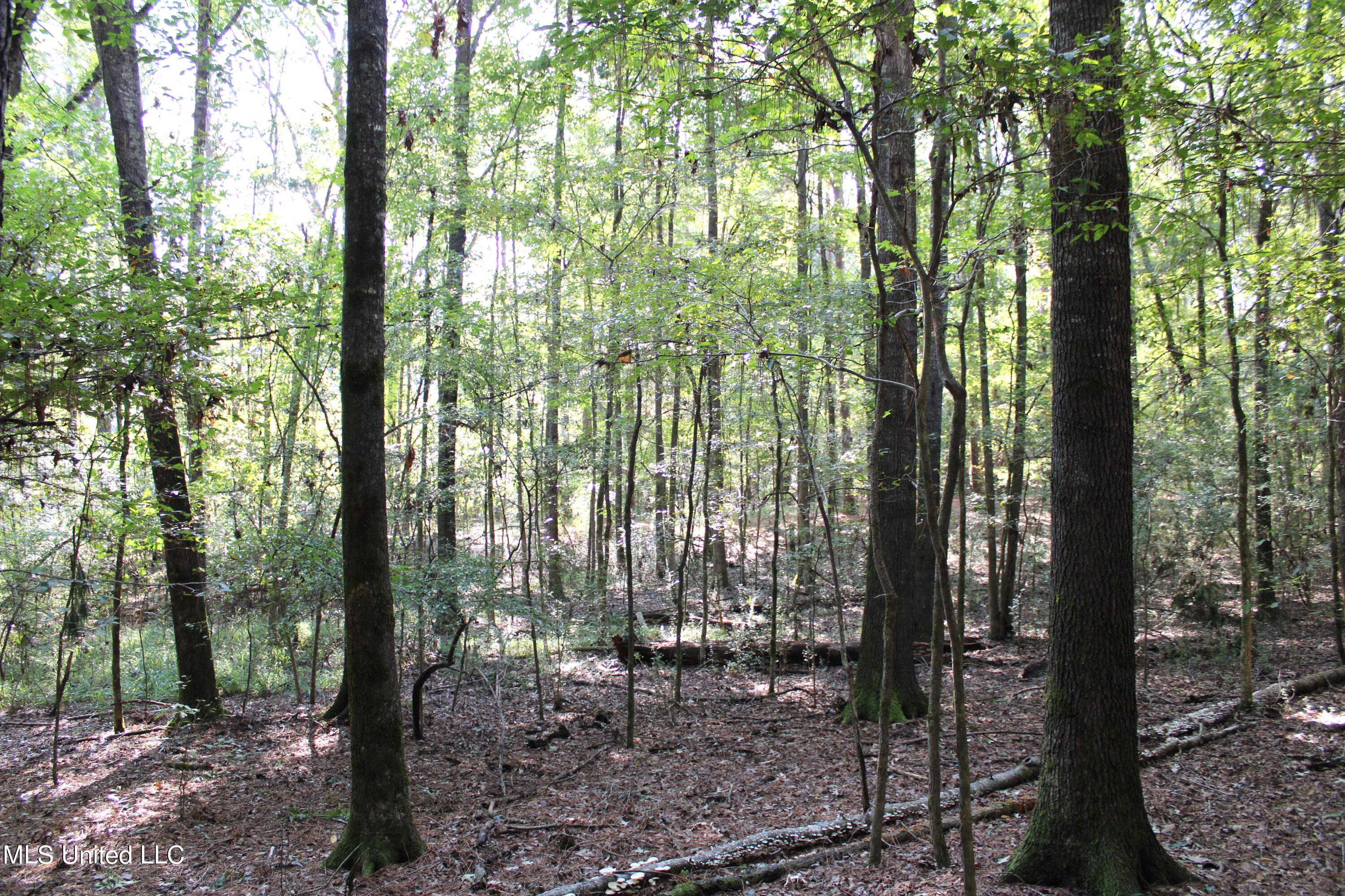 524 Davis Crossing Road Canton, MS 39046 - Photo 12 of 22 IMG_4967