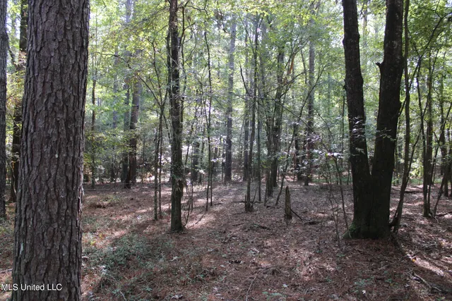 $125,235 | 524 Davis Crossing Road, Canton, MS 39046