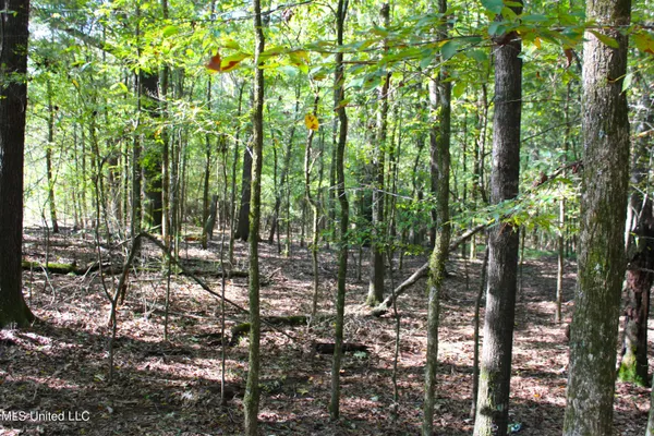 $125,235 | 524 Davis Crossing Road, Canton, MS 39046