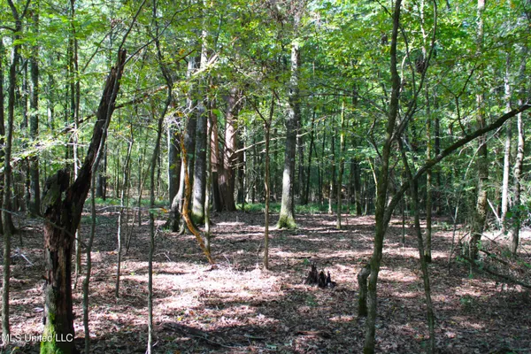 $125,235 | 524 Davis Crossing Road, Canton, MS 39046