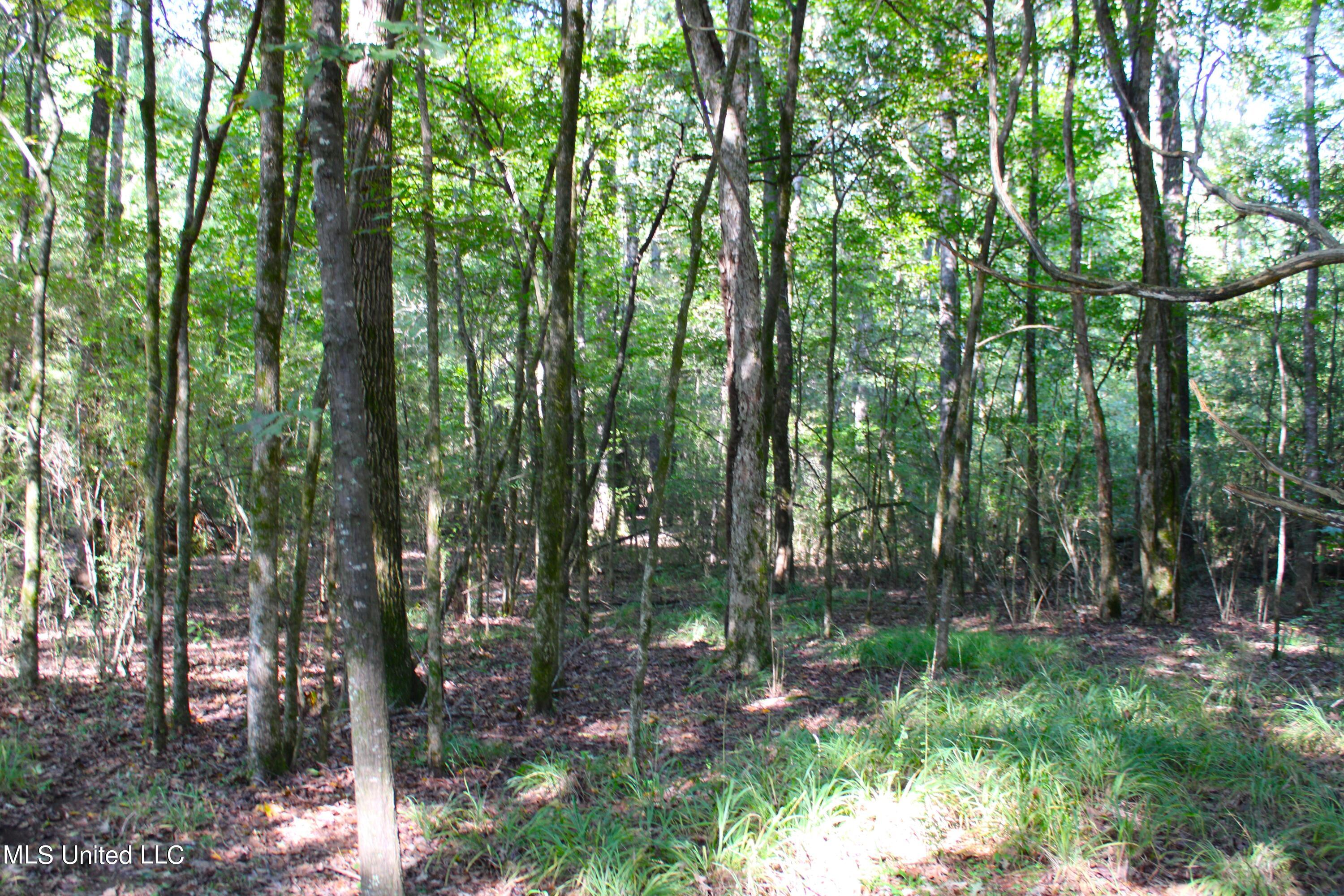 524 Davis Crossing Road Canton, MS 39046 - Photo 17 of 22 IMG_4974