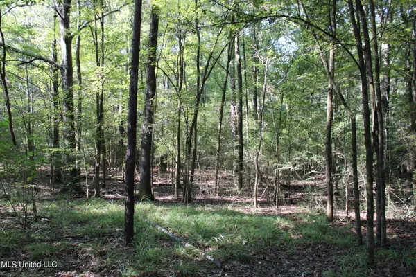 $125,235 | 524 Davis Crossing Road, Canton, MS 39046